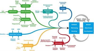 Kids+ Parent Infant Program (PIP): a community model for supporting partnerships in early developmental follow-up and support